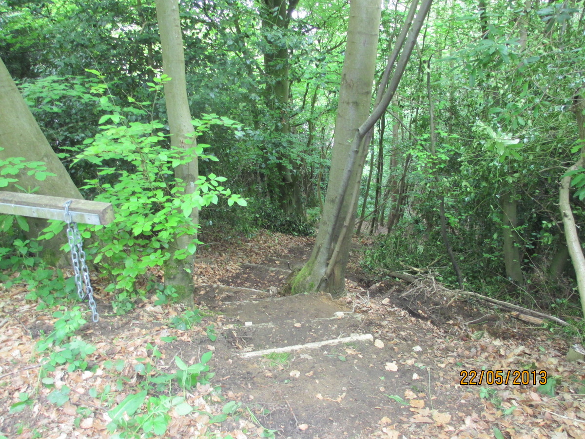 Southern Slope Steps After (2)